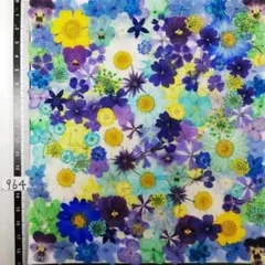 押し花素材　N964 ノースボール ビオラ 紫陽花　バーベナ 小花　 押し花