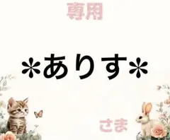 専用