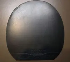 GEWO CODEXX 解密 55° max 黑 卓球ラバー ドイツ製