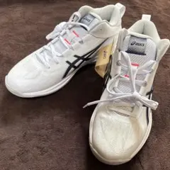 【28㎝】アシックス　ゲルフープ　ASICS GELHOOP V17のサムネイル