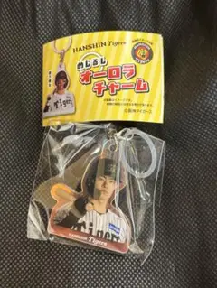 中野　阪神タイガース めじるしオーロラチャーム 全10種