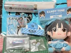 CANDYTUNE りのまる 抽選会 ランダムチェキ サイン入り 福山梨乃