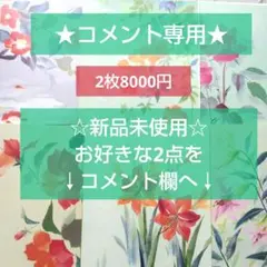 ☆新品未使用☆しゅんこうお得♪ よりどり2点特別セール☆41×32サイズ