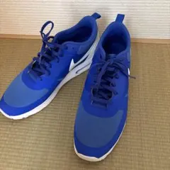 Nike Air Max 青 29.0cm