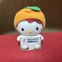 超レア！ご当地ハローキティ 静岡みかん
