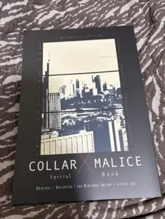 即購入⭕️｜Collar×Maliceスペシャルブック