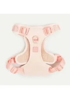 Item thumbnail for item 27debdcd-928f-48ae-9033-c5cfd2fe73d0