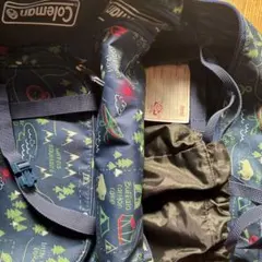 Item thumbnail for item 410d99d7-947b-478a-a289-fedd351624bd