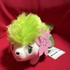 シェイミ ぬいぐるみ ポケモン キミにきめた!ポケモンゲットぬいぐるみ シェイミ