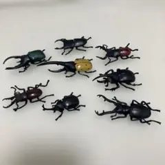 2025年最新】ミヤマクワガタ標本の人気アイテム - メルカリ