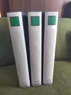 Item thumbnail for item 89d8a283-4d25-49ae-ae45-efcc27cd0c1c