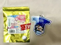 中村晃選手 応援歌アクリルキーチェーン