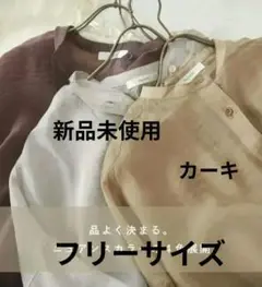 シアーシャツ 秋 きれい カジュアル トップス シンプル