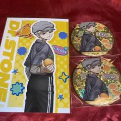 dr.stone くだもの狩り ホログラム缶バッジ 特典 西園寺羽京