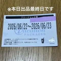 ディズニー バケーションパッケージ フリードリンク券 フリーチュロス