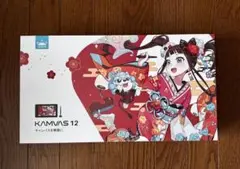 HUION Kamvas 12 液晶ペンタブレット 本体 豪華版