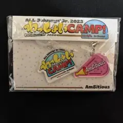 わっしょいcamp キーホルダー Ambitious