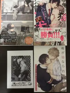 商業BL漫画 まとめ売り 2冊セット