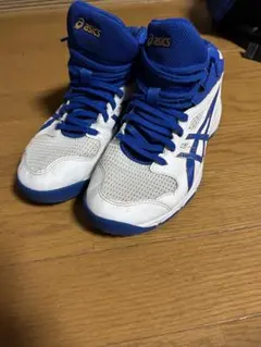 ASICS GEL-QUANTUM 180 バスケットシューズ 24.5cm