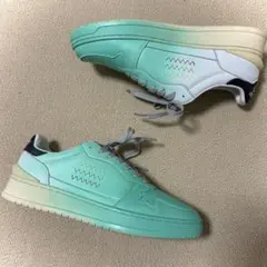 Item thumbnail for item 4d229201-2fc0-445a-aa69-46718edac92e