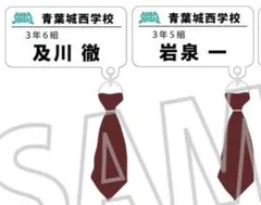 ハイキュー！！ チャーム付きネームバッチコレクション 及川 岩泉 セット