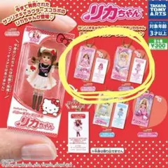 サンリオキャラクターズ　だいすきリカちゃミニチュアパッケージコレクション