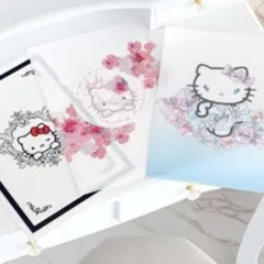 Rady ❤️ハローキティ ❤️クリアファイル 3種セットのサムネイル