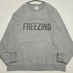 Port&Company LITERALLY FREEZING スウェット