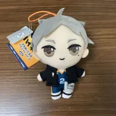 ハイキュー 菅原孝支 ぬい