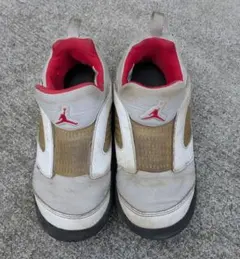 Item thumbnail for item 6ad2feba-65f7-4e2f-b3c5-5df770bfc0e9