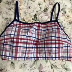 チェック柄 セパレート水着 Lサイズ上のみ