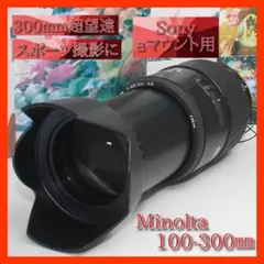 カメラ：SONY α350 レンズ ：MINOLTA AF24-85 - メルカリ