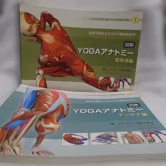 アナトミーフォーヨガ ヨーガ YOGA DVD 体感して学ぶヨガの解剖学