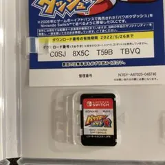 パワプロクンポケットR