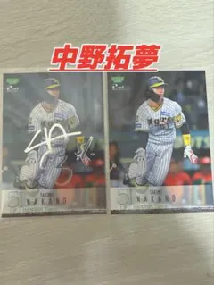 2026年最新】阪神中野サインの人気アイテム - メルカリ