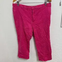 オシャレ　ピンク 水玉模様 スキニーパンツ 18W