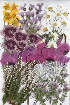 *୨୧⑅満月୨୧⑅*様 リクエスト 3点 まとめ商品