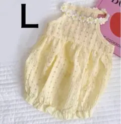 Item thumbnail for item 991d1f66-069e-45b8-a1dd-08d4f2252782