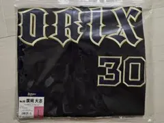 2026年最新】廣岡大志 ユニフォームの人気アイテム - メルカリ