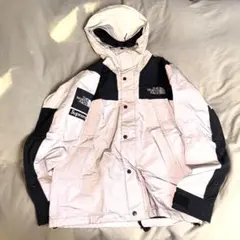 Supreme North Face 3M Mountain Jacket