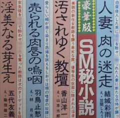 絶版】秘小説96年5月 結城彩雨 香山洋一 前田寿按 楡畑雄二 椋陽児 他 