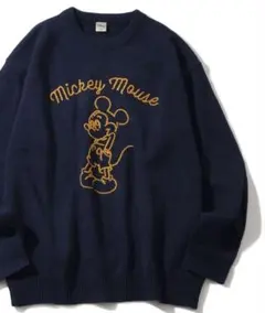 Disney アートワークデザイン ループ刺繍＆シャギー ジャガードニット