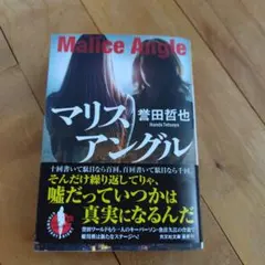 マリスアングル