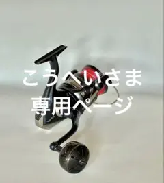 2025年最新】20 ストラディック SW 10000HGの人気アイテム - メルカリ