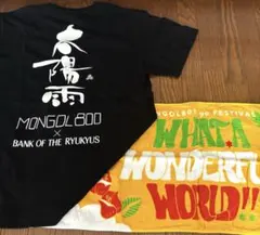 Item thumbnail for item 47b8a5c8-03a7-49ff-9d0b-a3783452e2dc