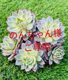 のんちゃん様 ご専用　おまけ付き　リクエスト 4点 まとめ商品