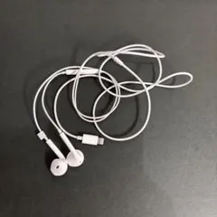 【匿名配送】Apple純正 有線イヤホン EarPods Lightning端子