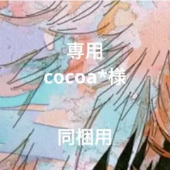 専用ページ cocoa*様