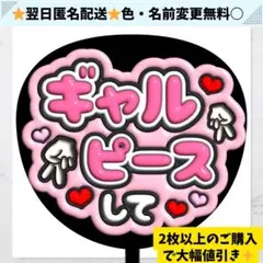 しなもん様 リクエスト 2点 まとめ商品