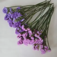 スターチス　ミックスセット　ドライフラワー　ピンク　紫　花材　スワッグ　リース